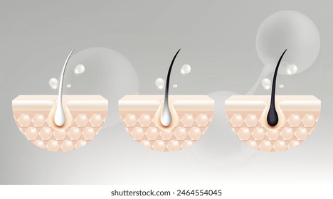 Hyaluronic acid and Niacinamide before and after gray hair and skin solutions ad, white collagen serum drops into skin cell with cosmetic advertising background ready to use, illustration vector.