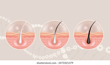 Ácido hialurónico y niacinamida antes y después de las soluciones para el cabello gris y la piel ad, suero de colágeno blanco gotas en la célula de la piel con fondo de publicidad cosmética listo para usar, ilustración Vector.