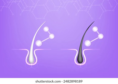 Hyaluronic acid and Niacinamide before and after gray hair and skin solutions ad, purple collagen serum drops into skin cell with cosmetic advertising background ready to use, illustration vector.