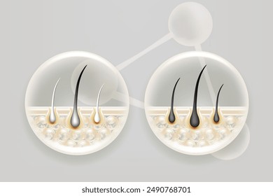 Hyaluronic acid and Niacinamide before and after gray hair and skin solutions ad, white collagen serum drops into skin cell with cosmetic advertising background ready to use, illustration vector.