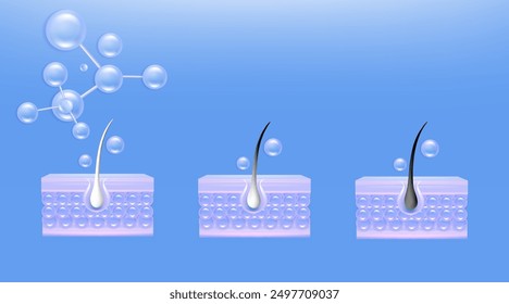 Hyaluronsäure und Niacinamid vor und nach grauen Haaren und Hautlösungen und blauen Kollagenserumtropfen in die Hautzelle mit kosmetischem Werbe-Hintergrund sofort einsatzbereit, Illustrationsvektor.