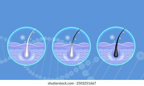 Hyaluronic acid and Niacinamide before and after gray hair and skin solutions ad, blue collagen serum drops into skin cell with cosmetic advertising background ready to use, illustration vector.