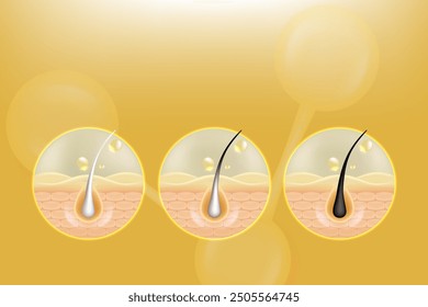Hyaluronic acid and Niacinamide before and after gray hair and skin solutions ad, gold collagen serum drops into skin cell with cosmetic advertising background ready to use, illustration vector.