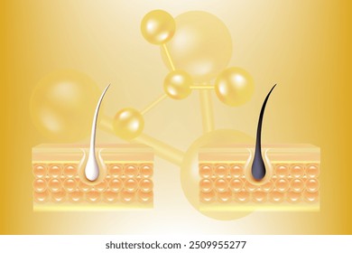 Ácido hialurônico e niacinamida antes e depois de cabelos grisalhos e soluções cutâneas, soro de colágeno dourado cai em célula da pele com fundo de publicidade cosmética pronto para usar, vetor de ilustração.