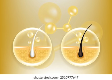 Hyaluronic acid and Niacinamide before and after gray hair and skin solutions ad, gold collagen serum drops into skin cell with cosmetic advertising background ready to use, illustration vector.