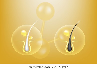 Hyaluronic acid and Niacinamide before and after gray hair and skin solutions ad, gold collagen serum drops into skin cell with cosmetic advertising background ready to use, illustration vector.