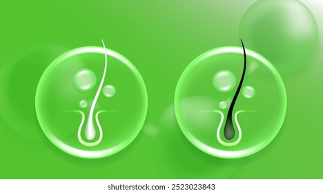 Hyaluronic acid and Niacinamide before and after gray hair and skin solutions ad, green collagen serum drops into skin cell with cosmetic advertising background ready to use, illustration vector.