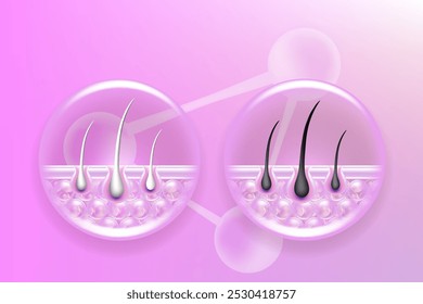 Hyaluronic acid and Niacinamide before and after gray hair and skin solutions ad, pink collagen serum drops into skin cell with cosmetic advertising background ready to use, illustration vector.
