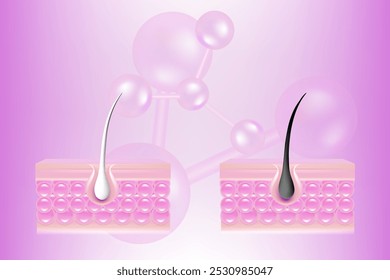 Ácido hialurônico e niacinamida antes e depois de cabelos grisalhos e soluções de pele e, soro de colágeno rosa cai em célula da pele com fundo de publicidade cosmética pronto para usar, vetor de ilustração.