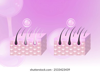 Hyaluronic acid and Niacinamide before and after gray hair and skin solutions ad, pink collagen serum drops into skin cell with cosmetic advertising background ready to use, illustration vector.