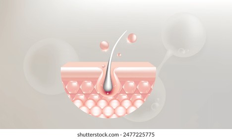 Hyaluronic acid and Niacinamide gray hair and skin solutions ad, pink collagen serum drops into skin cell with cosmetic advertising background ready to use, illustration vector.	