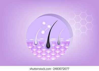 Hyaluronic acid and Niacinamide gray hair and skin solutions ad, purple collagen serum drops into skin cell with cosmetic advertising background ready to use, illustration vector.	