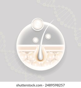 Hyaluronic acid and Niacinamide gray hair and skin solutions ad, white collagen serum drops into skin cell with cosmetic advertising background ready to use, illustration vector.	