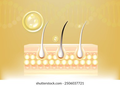 Hyaluronic acid and Niacinamide gray hair and skin solutions ad, gold collagen serum drops into skin cell with cosmetic advertising background ready to use, illustration vector.	