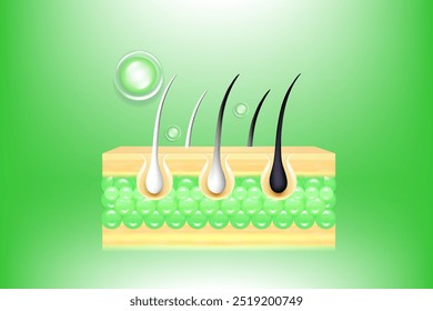 Hyaluronic acid and Niacinamide gray hair and skin solutions ad, green collagen serum drops into skin cell with cosmetic advertising background ready to use, illustration vector.	