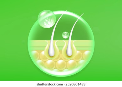 Hyaluronic acid and Niacinamide gray hair and skin solutions ad, green collagen serum drops into skin cell with cosmetic advertising background ready to use, illustration vector.	