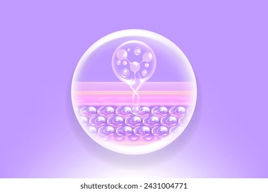 Hyaluronic acid and Niacinamide hair and skin solutions ad, purple collagen serum drops into skin cell with cosmetic advertising background ready to use, illustration vector.