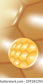 Hyaluronic acid and Niacinamide hair and skin solutions ad, gold collagen serum drops into skin cell with cosmetic advertising background ready to use, illustration vector.	