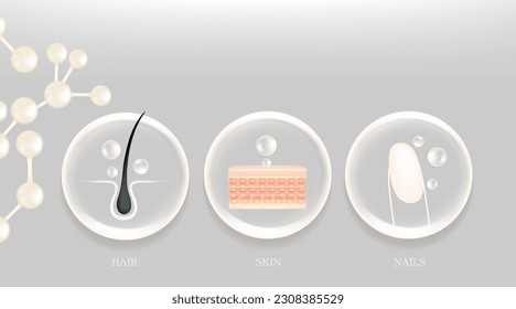 Solución de clavos de piel de ácido hialurónico y colágeno blanco, caída de suero de colágeno con fondo publicitario estético listo para usar, vector de ilustración.