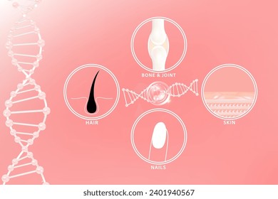 Piel de ácido hialurónico clavos de pelo hueso y soluciones articulares y colágeno rosa caída de suero con fondo de publicidad estética listo para usar, vector de ilustración.	