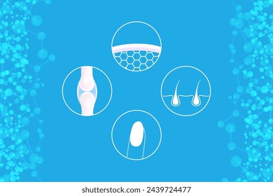 Hyaluronic acid skin hair nails bone and joint solutions ad, blue collagen with cosmetic advertising background ready to use, illustration vector.	