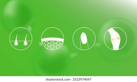 Hyaluronic acid skin hair nails bone and joint solutions ad, green collagen serum drop with cosmetic advertising background ready to use, illustration vector.	
