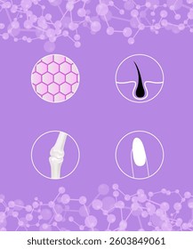 Hyaluronic acid skin hair nails bone and joint solutions ad, purple collagen serum drop with cosmetic advertising background ready to use, illustration vector.	