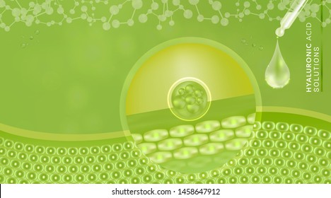 Hyaluronic acid skin solutions ad, green collagen serum drop with cosmetic advertising background ready to use, illustration vector.	
