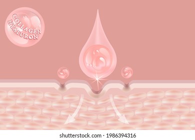 Hyaluronic acid skin solutions ad, pink collagen serum drops with cosmetic advertising background ready to use, illustration vector.