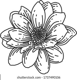 Hybrid Dahlia Flower Linear Vector Illustration