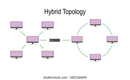 Hybrid Network Topology Diagram Showing Arrangement Stock Vector ...
