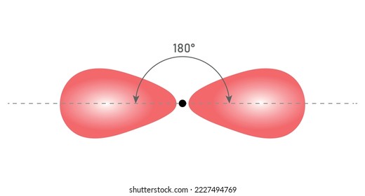 The hybrid orbitals required for linear complex ions. Scientific vector illustration isolated on white background.