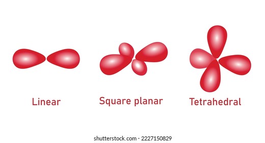 The hybrid orbitals required for linear, square planar and tetrahedral complex ions. Scientific vector illustration isolated on white background.