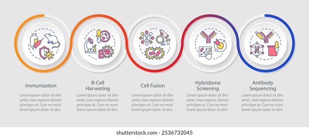 Tecnología de hibridoma infografía círculos secuencia. Inmunización. Anticuerpos monoclonales. Diseño de visualización con 5 pasos. Presentación del proceso de bucle del gráfico de información