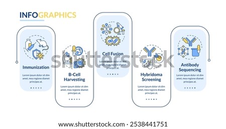 Hybridoma technology rectangle infographic vector. Immunization. Monoclonal antibodies. Data visualization with 5 steps. Editable rectangular options chart