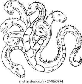 Hydra