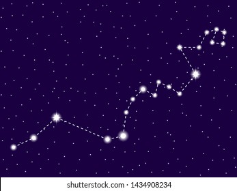 Hydra constellation. Starry night sky. Vector illustration