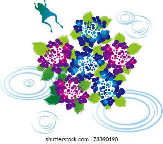 hydrangea