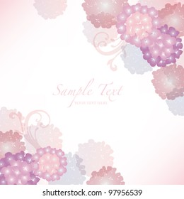 hydrangea background