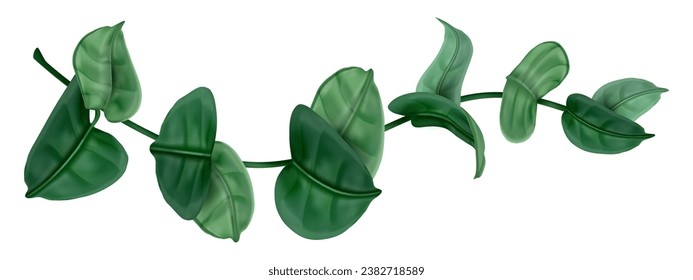 Hydrangea branch. Green floral foliage. Hortensia stalk. Tropical plant stem. 3D natural greenery. Garden flower. Summer forest flora. Wild tree. Isolated ivy twig. Vector botanical bouquet element