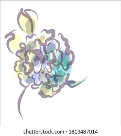 hydrangea. Drawing vector graphics with floral pattern for design.