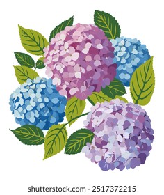 Hydrangea. Blumenvektorgrafik einzeln.