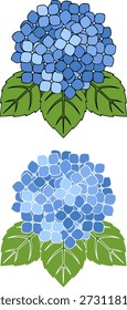 Hydrangea flower blooming garden digital art colorful close-up view botanical illustration