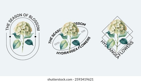 Hydrangea Flower Blossom Logo Set