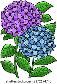 Hydrangea Flower Cartoon Colored Clipart 