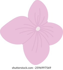 Hydrangea Flower Hand Drawn Vector Illustration