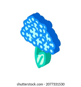 hydrangea flower isometric icon vector. hydrangea flower sign. isolated symbol illustration