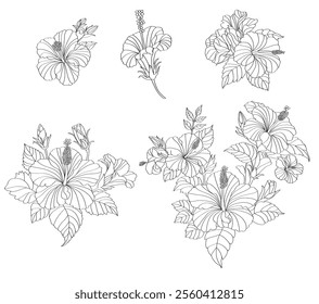 hydrangea flower, Line art graphic , Vector file can be used in creating work, including media production. and various publications
