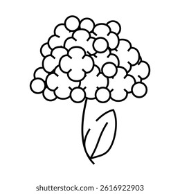 hydrangea flower line icon vector. hydrangea flower sign. isolated contour symbol black illustration