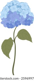 Hydrangea Flower On Stem Vector Illustration